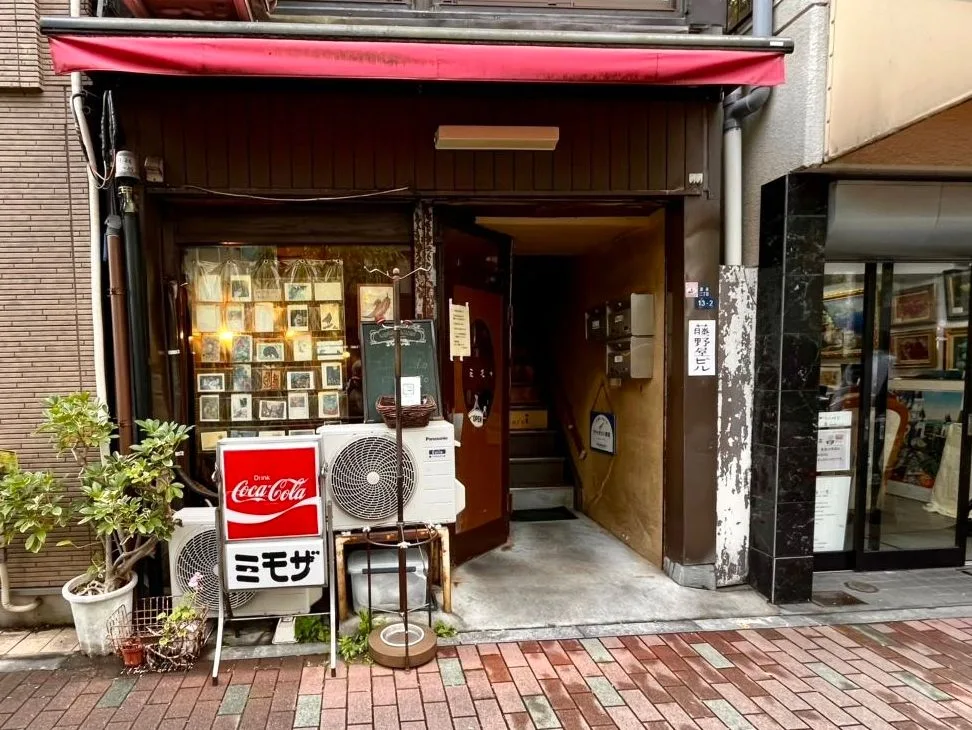 ミモザの写真