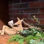 Rainy Day Bookstore & Cafe(レイニー デイ ブックストア アンド カフェ)の写真