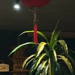 LIWEI COFFEE STAND(リウェイ コーヒー スタンド)の写真