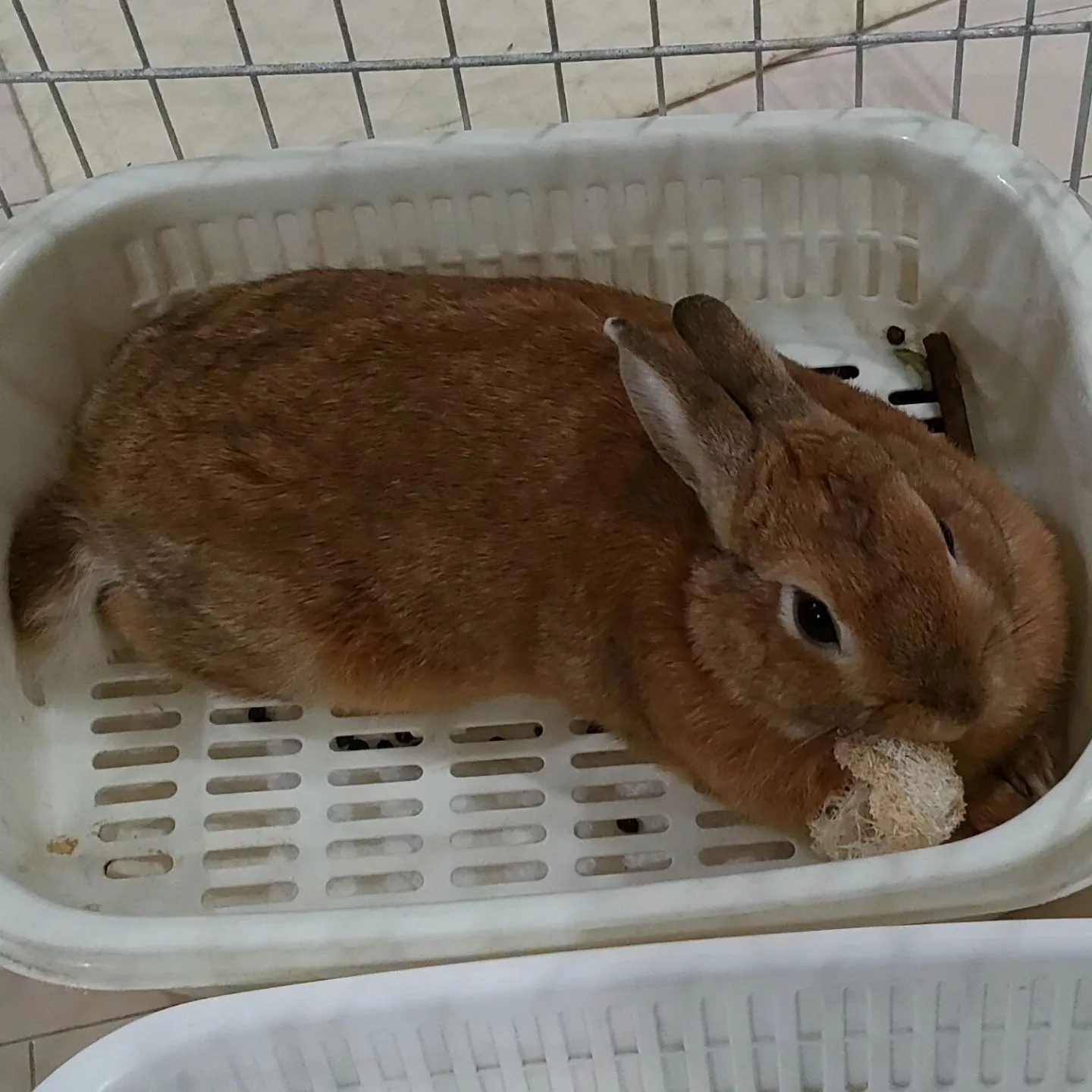 Photo by ☕Lulu Lapin Cafe🐰 on January 08, 2024.