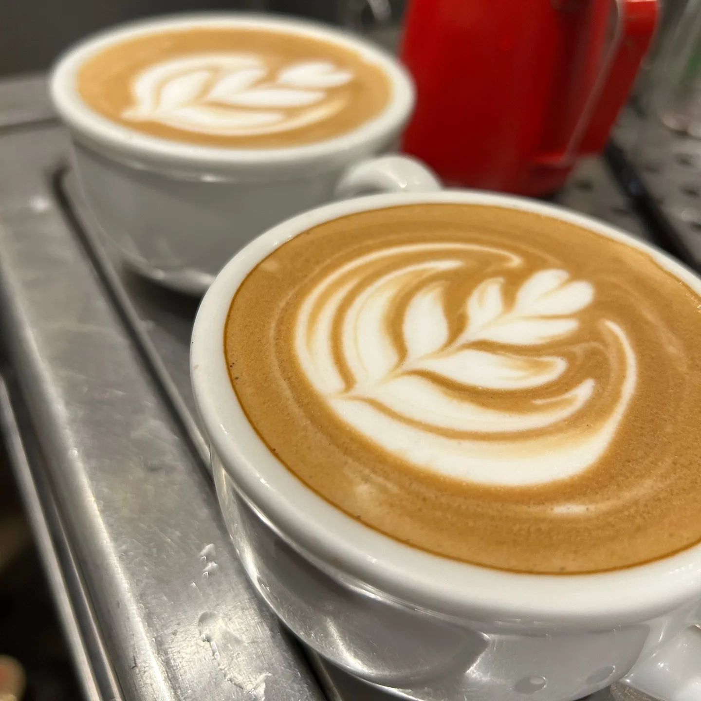 Photo by WORLD NEIGHBORS CAFE 護国寺 in WORLD NEIGHBORS CAFE / ワールドネイバーズカフェ.