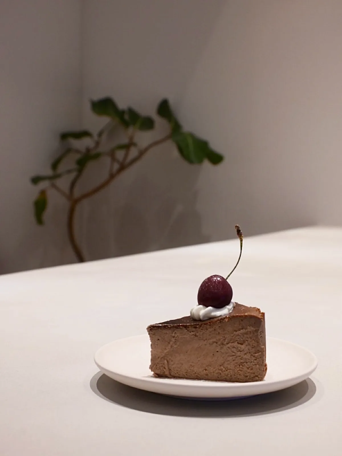 Photo by Nagi in Nagi with @nagiueno.