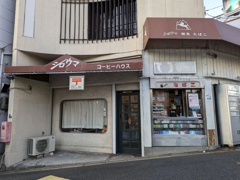 シロウマの写真
