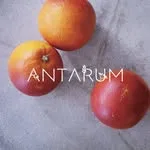 ANTARUMの写真