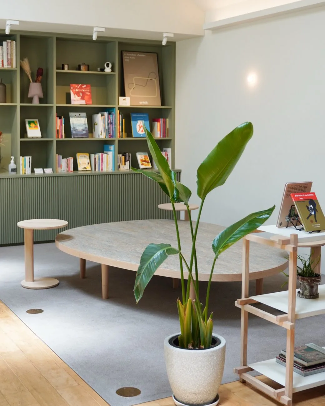 Photo by KALM on June 24, 2026. May be an image of house plant, indoors, office and text.