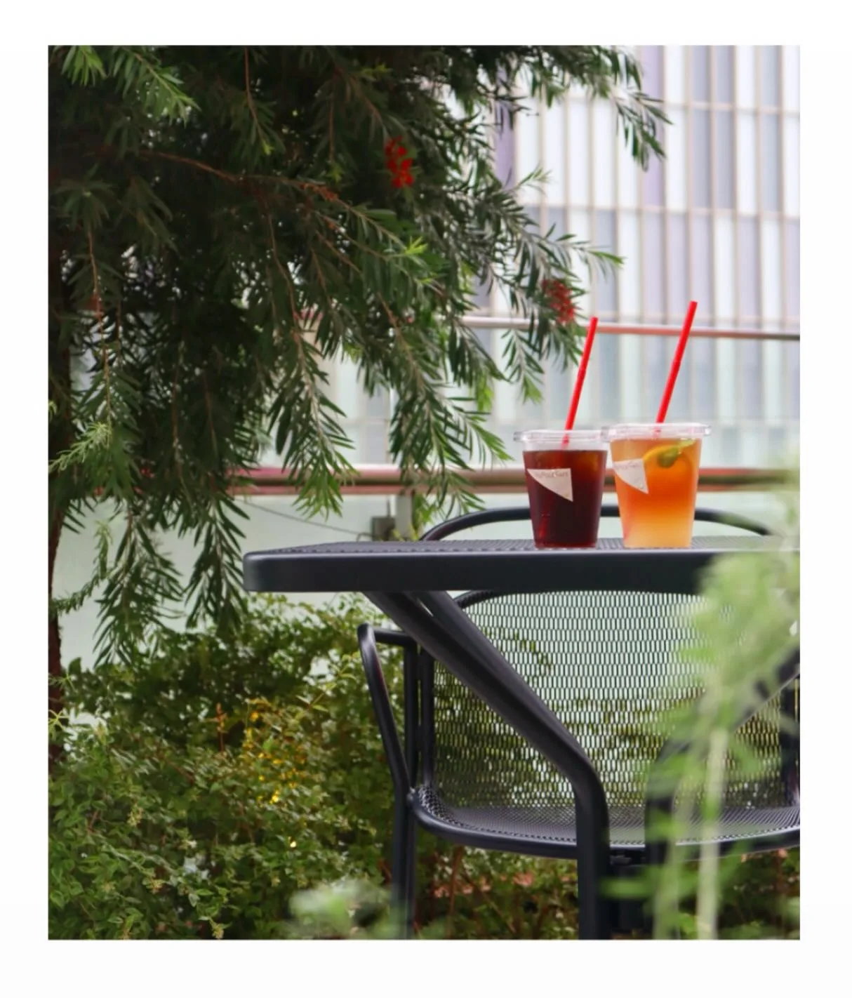Photo by トライアングルカフェ on August 02, 2026. May be an image of tea, juice, cornflower, outdoors and text.