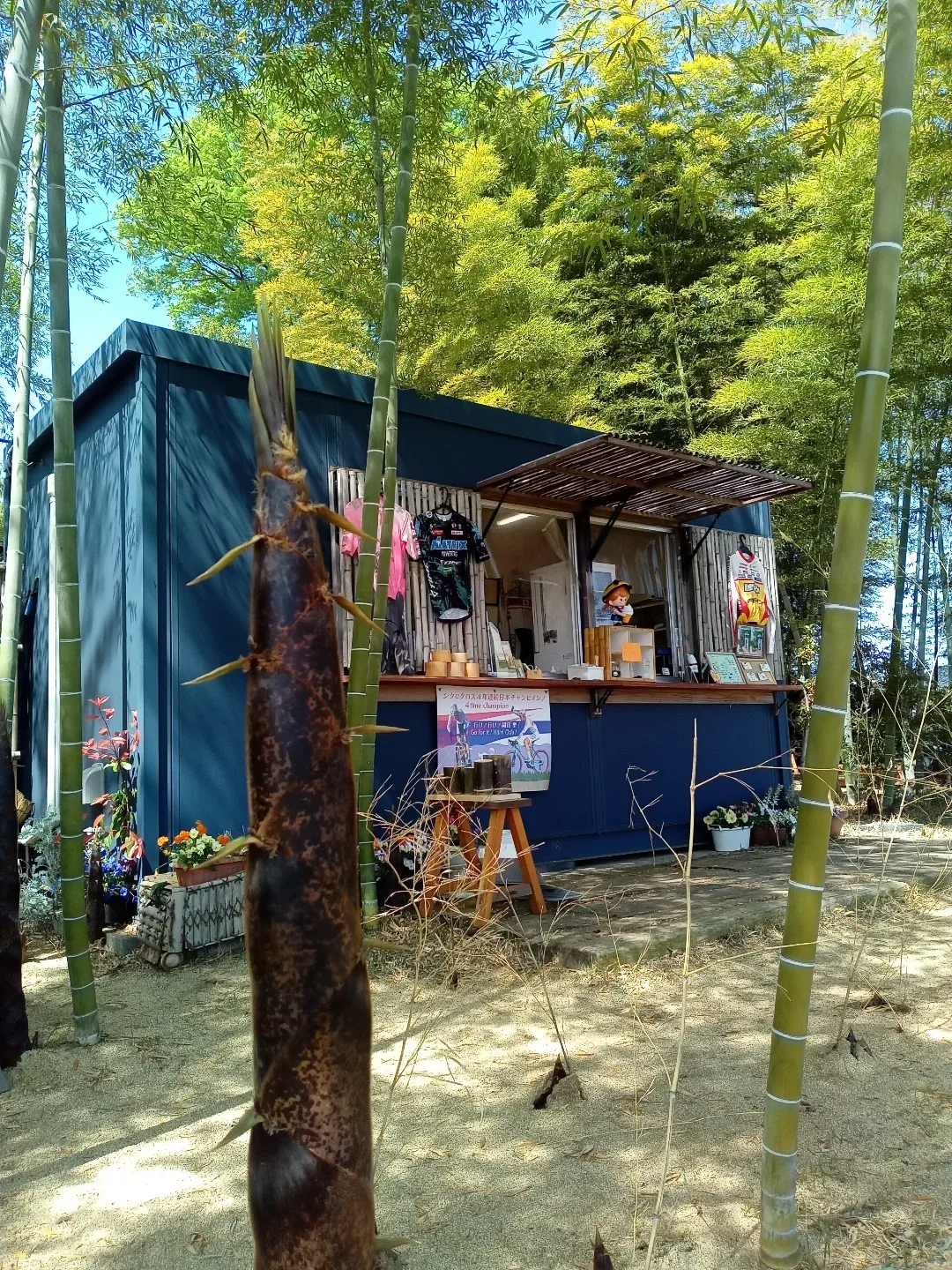 Photo by 竹林カフェ風 in 竹林カフェ.