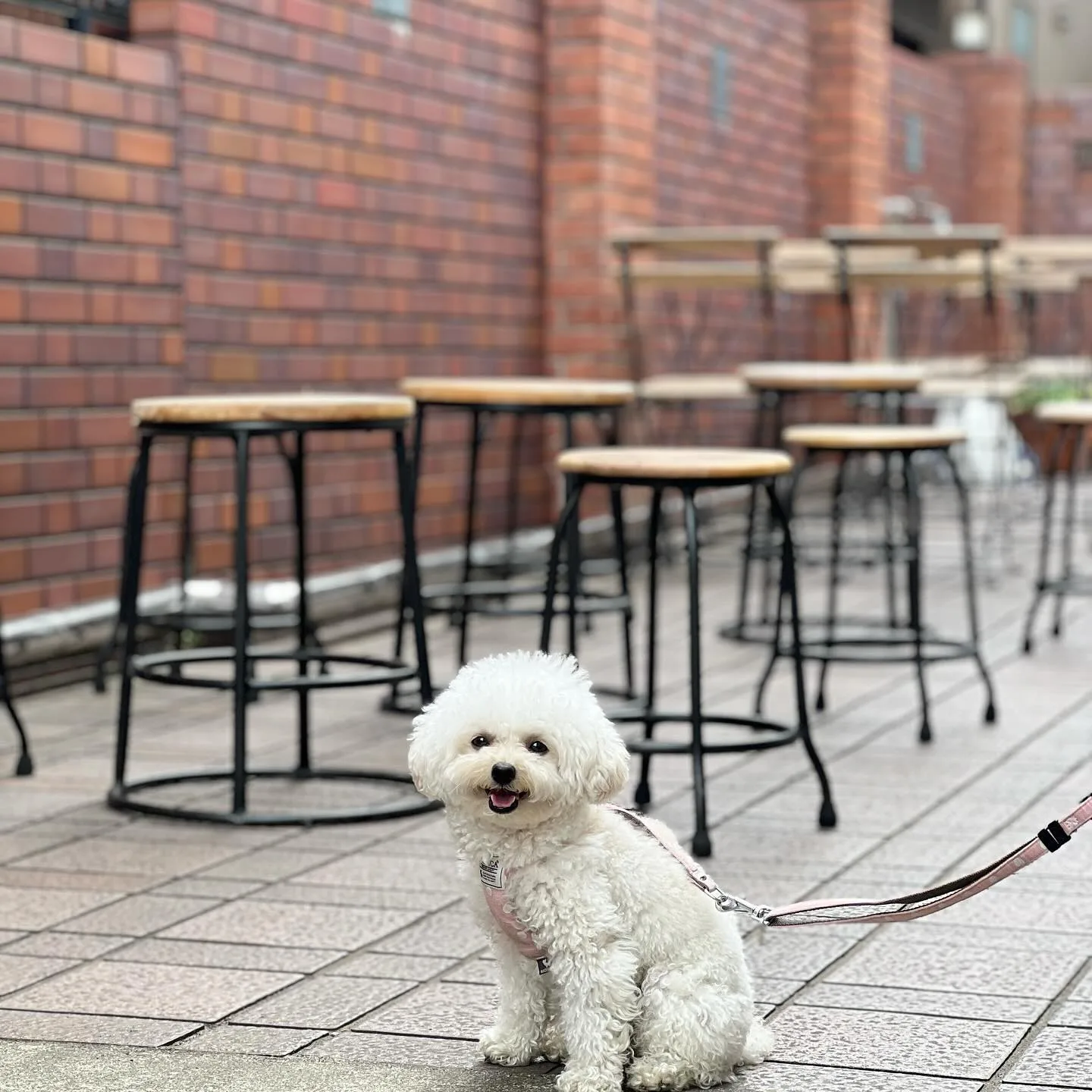 Photo by 元町珈琲店ちもと on May 21, 2024.