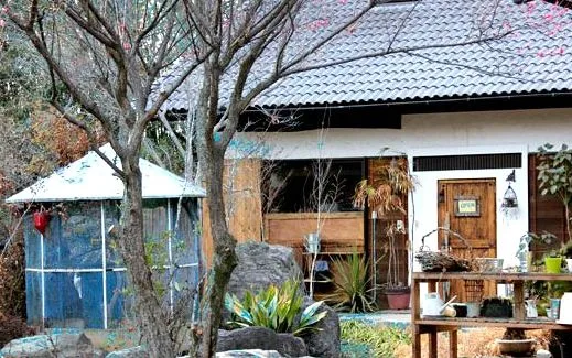 UEKIYACAFE272の写真