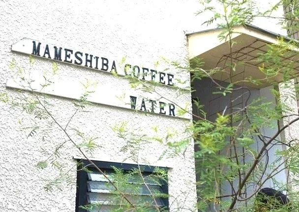 mameshibaの写真