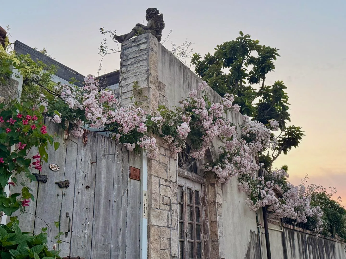 Photo by greenfinger cafe on May 17, 2026.
