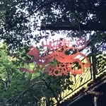 ギャラリー&カフェ 山猫軒の写真